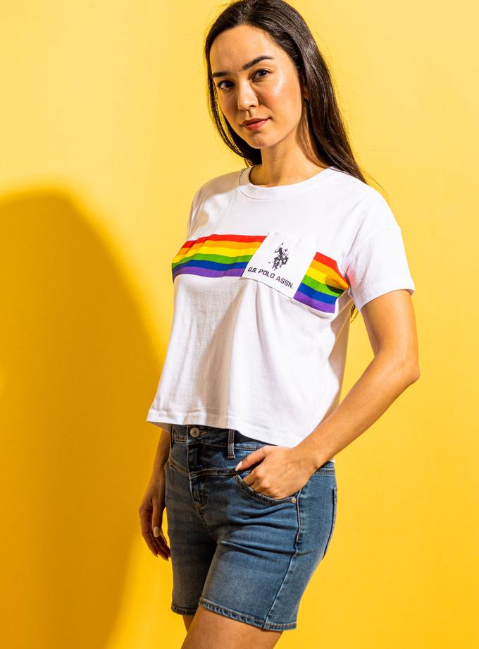 USPA PRIDE STRIPE GRAPHIC T-SHIRT Best Seller